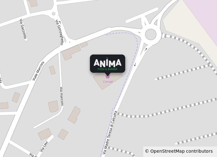 Mappa della posizione di ANIMA Pizza & Burger, Via Madre Teresa di Calcutta 2/B, Gonzaga (MN)